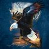 Мужская футболка THE MOUNTAIN Американский орел, id= 0209, цена: 678 грн