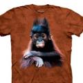 Следующий товар - Детская футболка THE MOUNTAIN Орангутанг беби, id= 4457k, цена: 515 грн