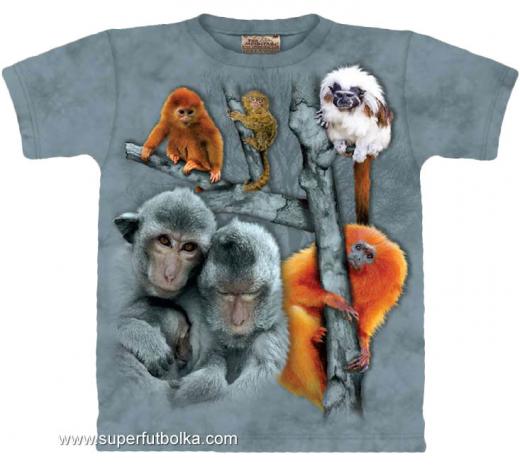 Детская футболка THE MOUNTAIN, id= 02327k, цена: 515 грн