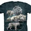 Следующий товар - Детская футболка THE MOUNTAIN Белые тигры, id= 3518k, цена: 515 грн