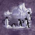 Предыдущий товар - Детская футболка THE MOUNTAIN Пингвины, id= 0090k, цена: 515 грн