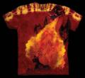 Следующий товар - Мужская футболка THE MOUNTAIN EVOLUTION, id= 0019E, цена: 678 грн