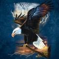 Предыдущий товар - Мужская футболка THE MOUNTAIN Американский орел, id= 0209, цена: 678 грн