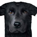 Следующий товар - Мужская футболка THE MOUNTAIN Лабрадор ретривер, id= 3171, цена: 678 грн