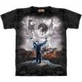 Следующий товар - Мужская футболка THE MOUNTAIN Шаман, id= 02413, цена: 678 грн