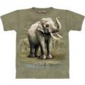Следующий товар - Мужская футболка THE MOUNTAIN Слон, id= 02312, цена: 678 грн