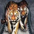 Предыдущий товар - Мужская футболка THE MOUNTAIN Тигры, id= 0129, цена: 678 грн
