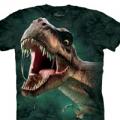 Предыдущий товар - Мужская футболка THE MOUNTAIN Тиранозавр Рекс, id= 4752, цена: 678 грн