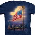 Следующий товар - Мужская футболка THE MOUNTAIN Томас Кинкейд - американский художник, id= 1883, цена: 678 грн