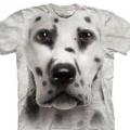 Следующий товар - Женская футболка THE MOUNTAIN Далматин, id= 4609, цена: 678 грн