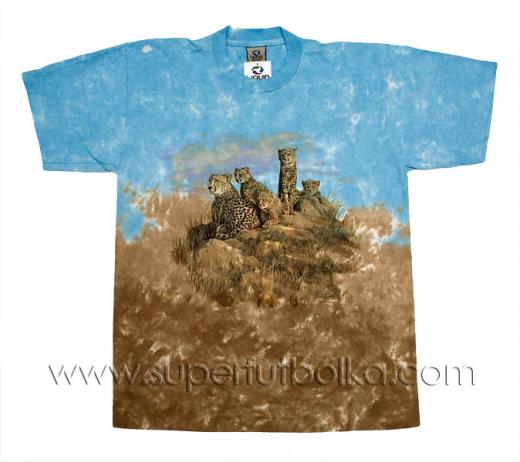 Мужская футболка LIQUID BLUE, id= 1175, цена: 678 грн