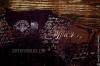 Мужская футболка AFFLICTION, id= 5038, цена: 1843 грн