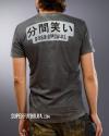 Мужская футболка MINUTE MIRTH, id= 4566, цена: 651 грн