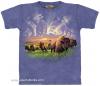 Мужская футболка THE MOUNTAIN, id= 02394, цена: 678 грн